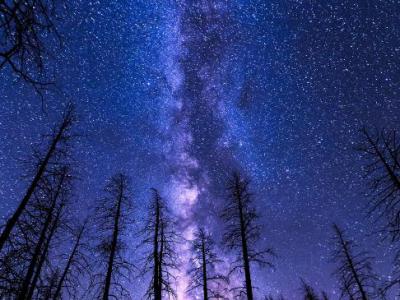 Astronomical & Craft Experiences