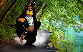 31st Plitvice Marathon