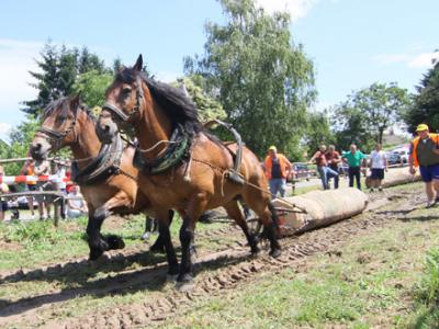 Štraprijada Izačić 2017