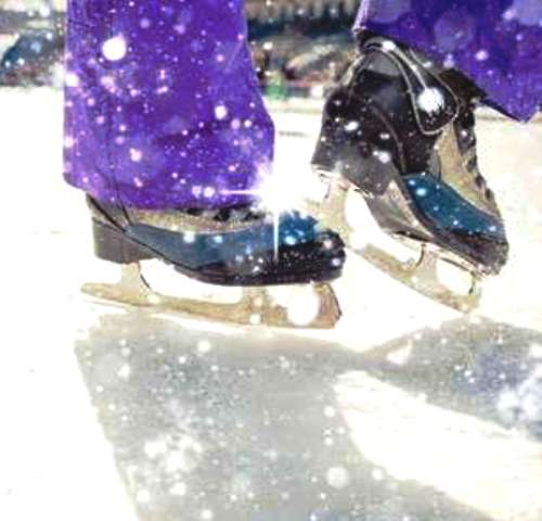 Klizanje na otvorenom, Winter Park Bihać